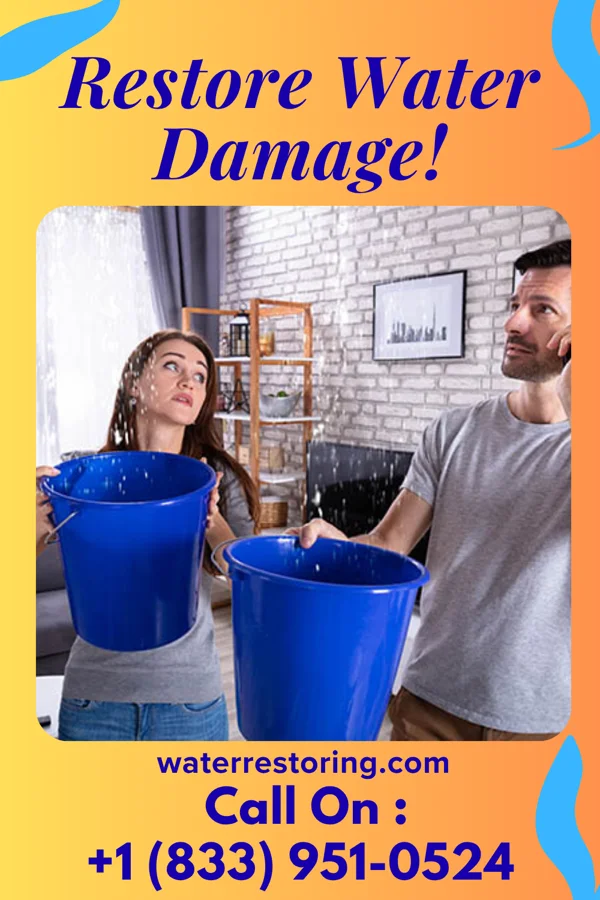 water restoration Peak Disaster Cleanup Professionals Pringle