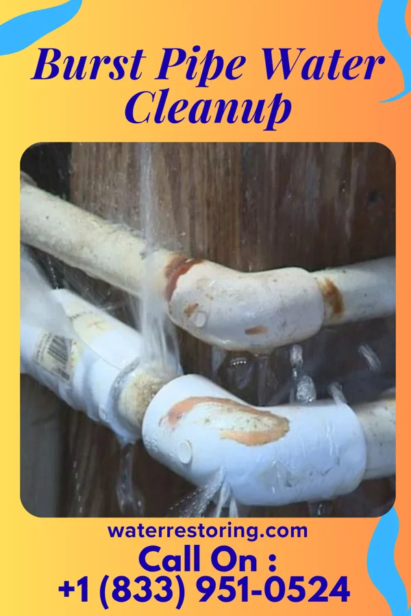 Burst Pipe Water Cleanup in Pringle, PA