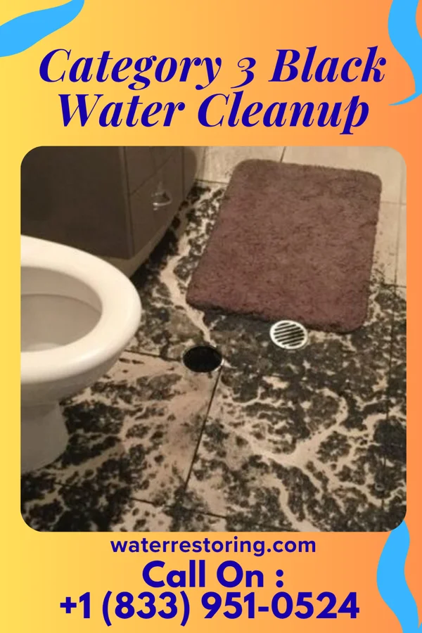 Category 3 Black Water Cleanup in Pringle, PA