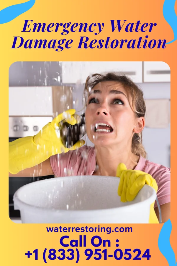 Emergency Water Damage Restoration in Pringle, PA