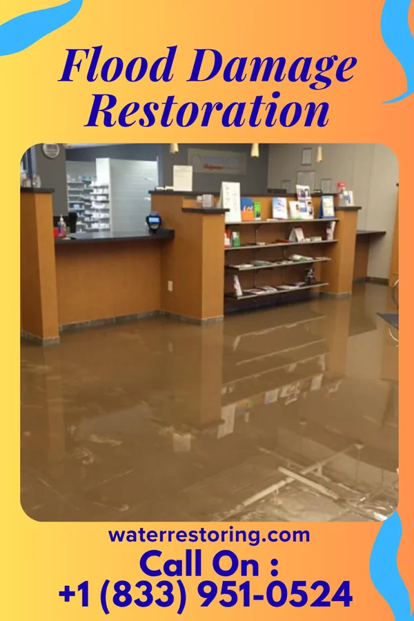 Flood Damage Restoration in Pringle, PA