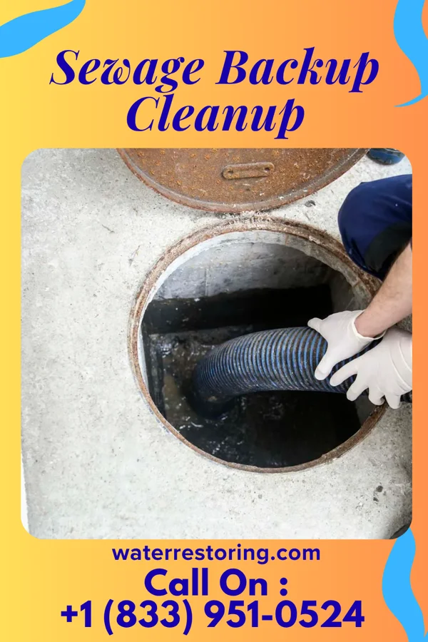 Sewage Backup Cleanup in Pringle, PA