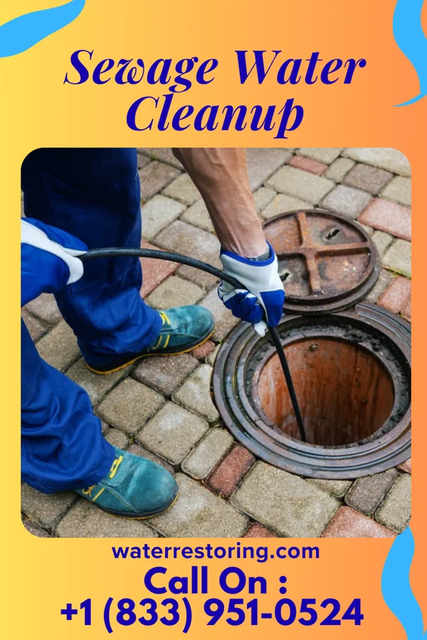 Sewage Water Cleanup in Pringle, PA