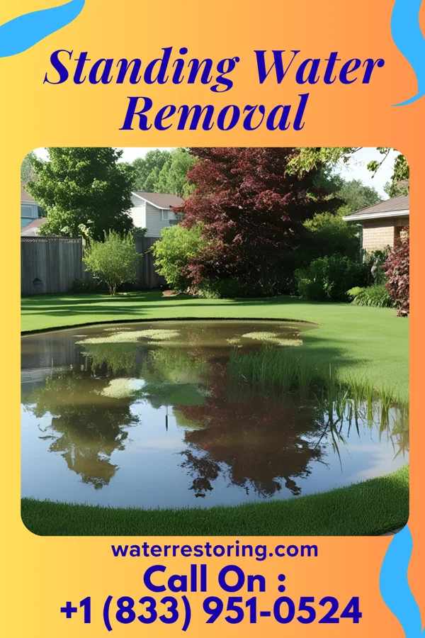 Standing Water Removal in Pringle, PA